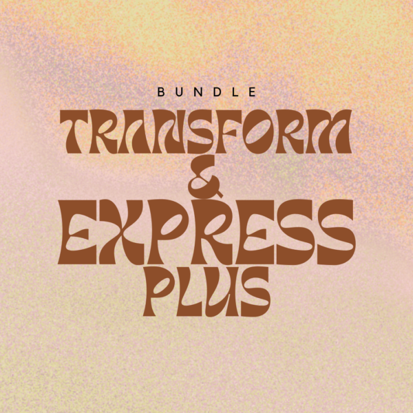 transform and express bundle